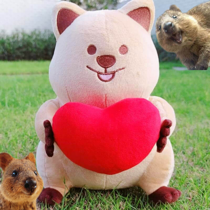 Cute Quokka Holding Heart Plush Toys 25cm