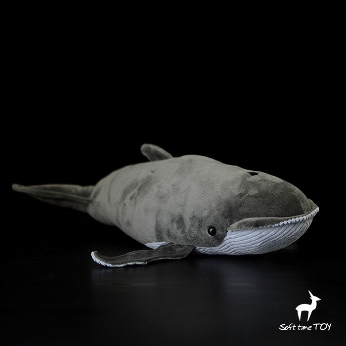 Sea Animal (Shark/Whale/Orca/Hammerhead Shark/Manta Rays) Plush Toys - 6 Styles