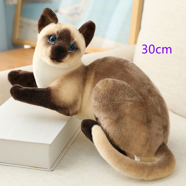 Cat (Lifelike Siamese/Shorthair) Plush Toys