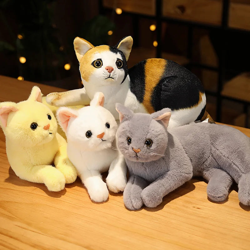 Cats Lifelike Plush Toy 31cm - White/Grey/Yellow/Mix colours