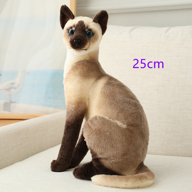 Cat (Lifelike Siamese/Shorthair) Plush Toys