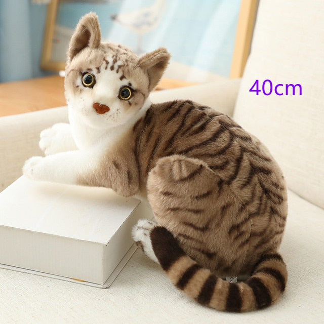 Cat (Lifelike Siamese/Shorthair) Plush Toys