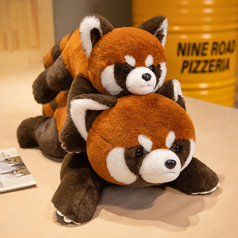 Red Panda Plush Toys 40/60/80cm - 2 Styles