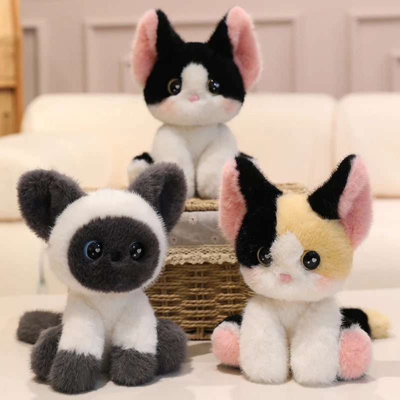 Cute/Kawaii Cat Plush Toys 24cm - 5 Styles