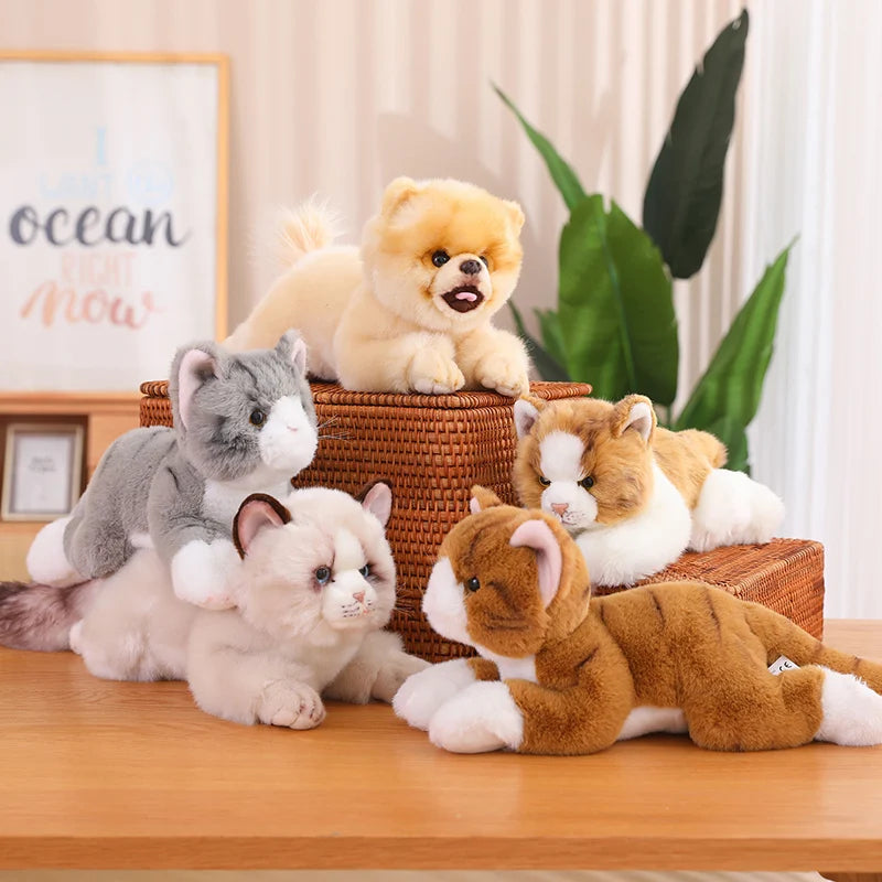 Lying Cats/Dog (Pomeranian) Lifelike Plush Toy- 5 Styles