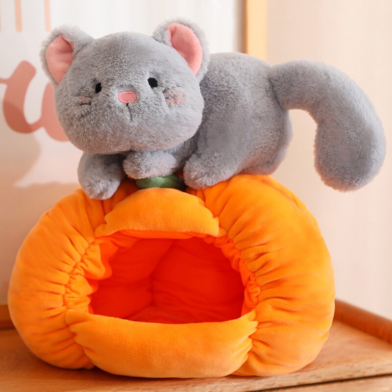 Cat/Dog In Pumpkin Plush Toys 20cm/30cm