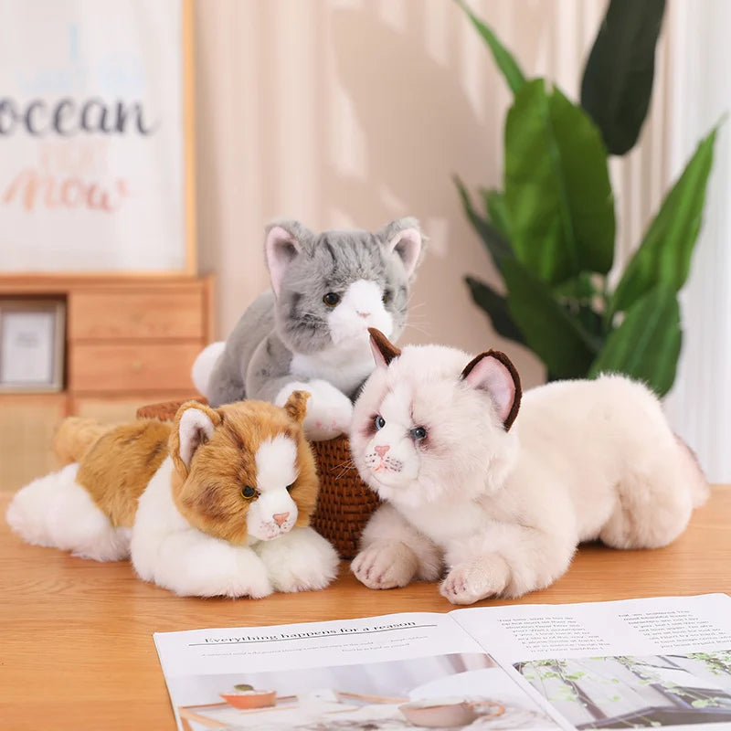 Lying Cats/Dog (Pomeranian) Lifelike Plush Toy- 5 Styles