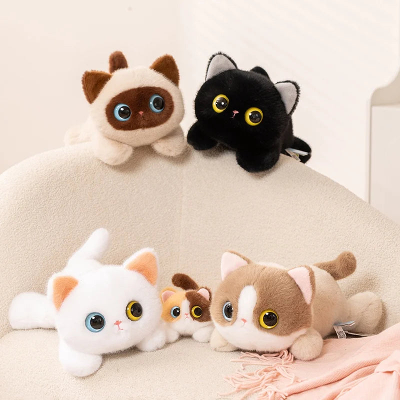 Cute Cat Plush Toys 20/40cm - Ragdoll/Siamese/Black/White/3-Colour