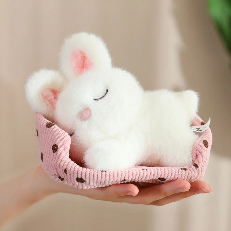 Cute Sleeping Animal(Dog/Cat/Fox/Bear/Rabbit/Pig) Plush Toys 12cm
