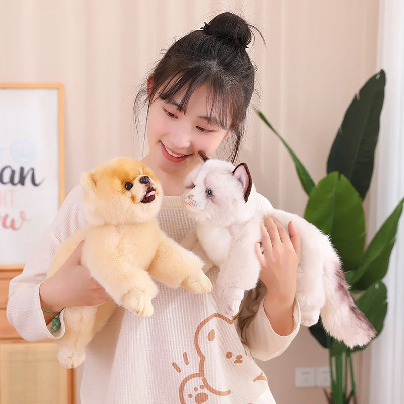 Lying Cats/Dog (Pomeranian) Lifelike Plush Toy- 5 Styles