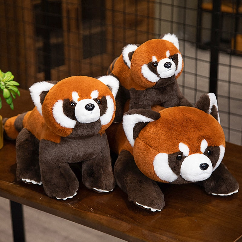 Red Panda Plush Toys 40/60/80cm - 2 Styles