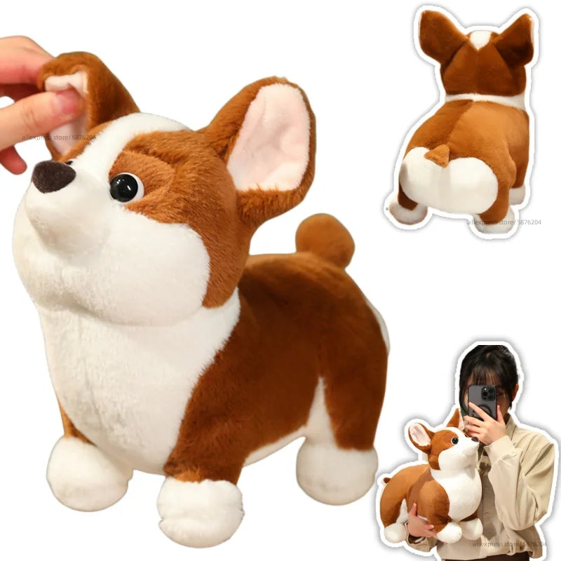 Cute Dog (Corgi) Plush Toys 23/35/45cm