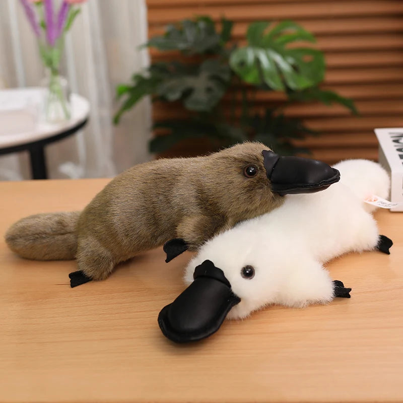 Cute White/Brown Platypus Plush Toys 30/35/45cm