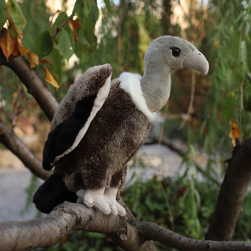 Bird (Lifelike Eagle/Flamingo/Vulture/Pelican) Plush Toys 25/35/45cm