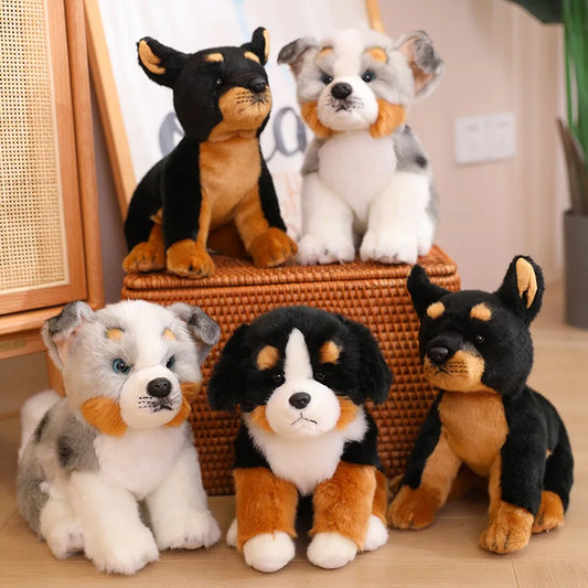 Cute Puppy (Australian Shepherd/Doberman/Bernese Mountain)  Plush Toys