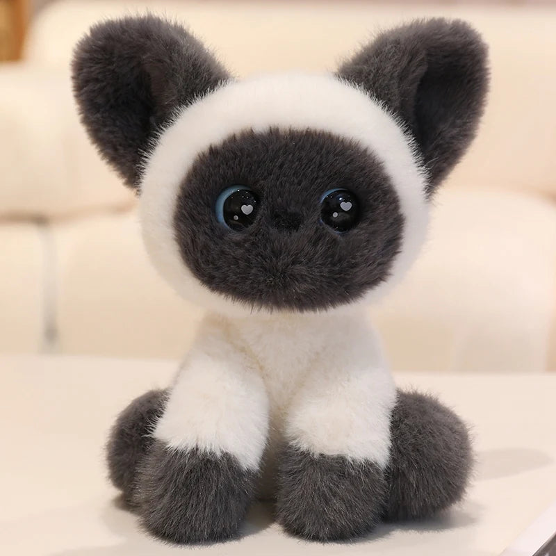 Cute/Kawaii Cat Plush Toys 24cm - 5 Styles