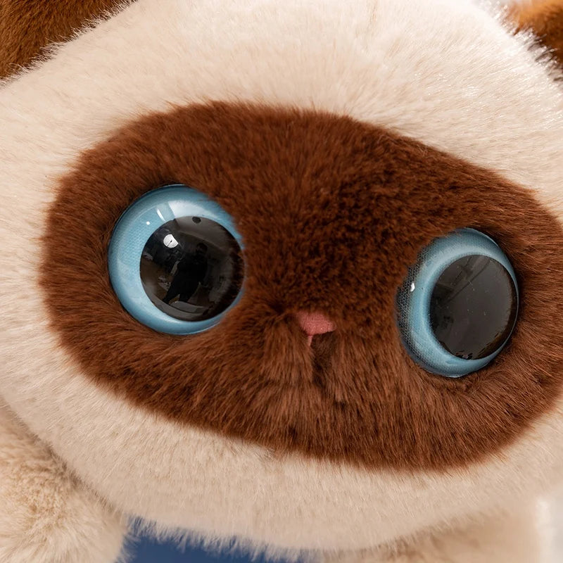 Cute Cat Plush Toys 20/40cm - Ragdoll/Siamese/Black/White/3-Colour