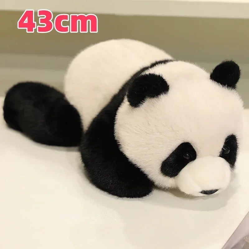 Cute Lying Red Panda/Panda Plush Toys 25-60cm - Black/Brown
