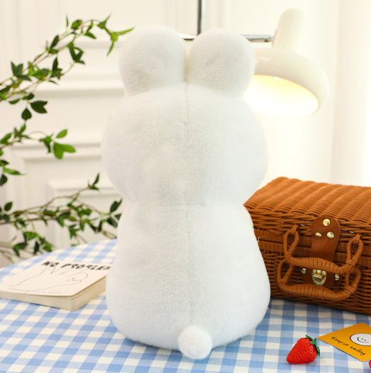 Cute Rabbit with Carrot Plush Toys 28cm/40cm/50cm