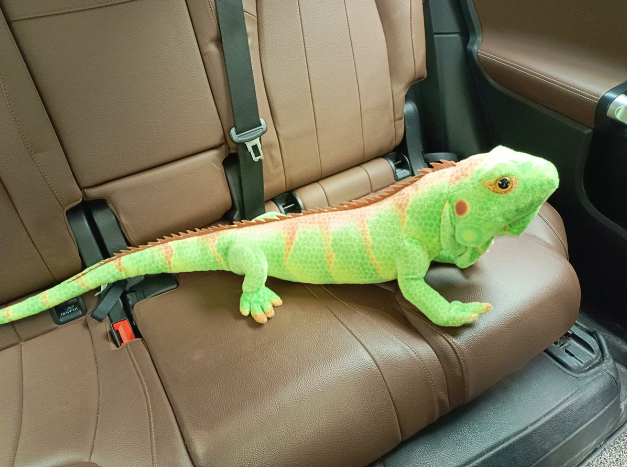 Chameleon Lifelike Plush Toys 65cm/95cm - Light Green/Dark Green