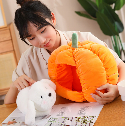 Cat/Dog In Pumpkin Plush Toys 20cm/30cm