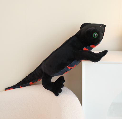 Lizard Plush Toys - Brown(100cm)/Black(90cm)