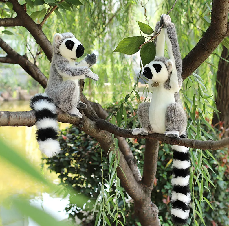 Lemur With/Without Long Arm Lifelike Plush Toys 28cm