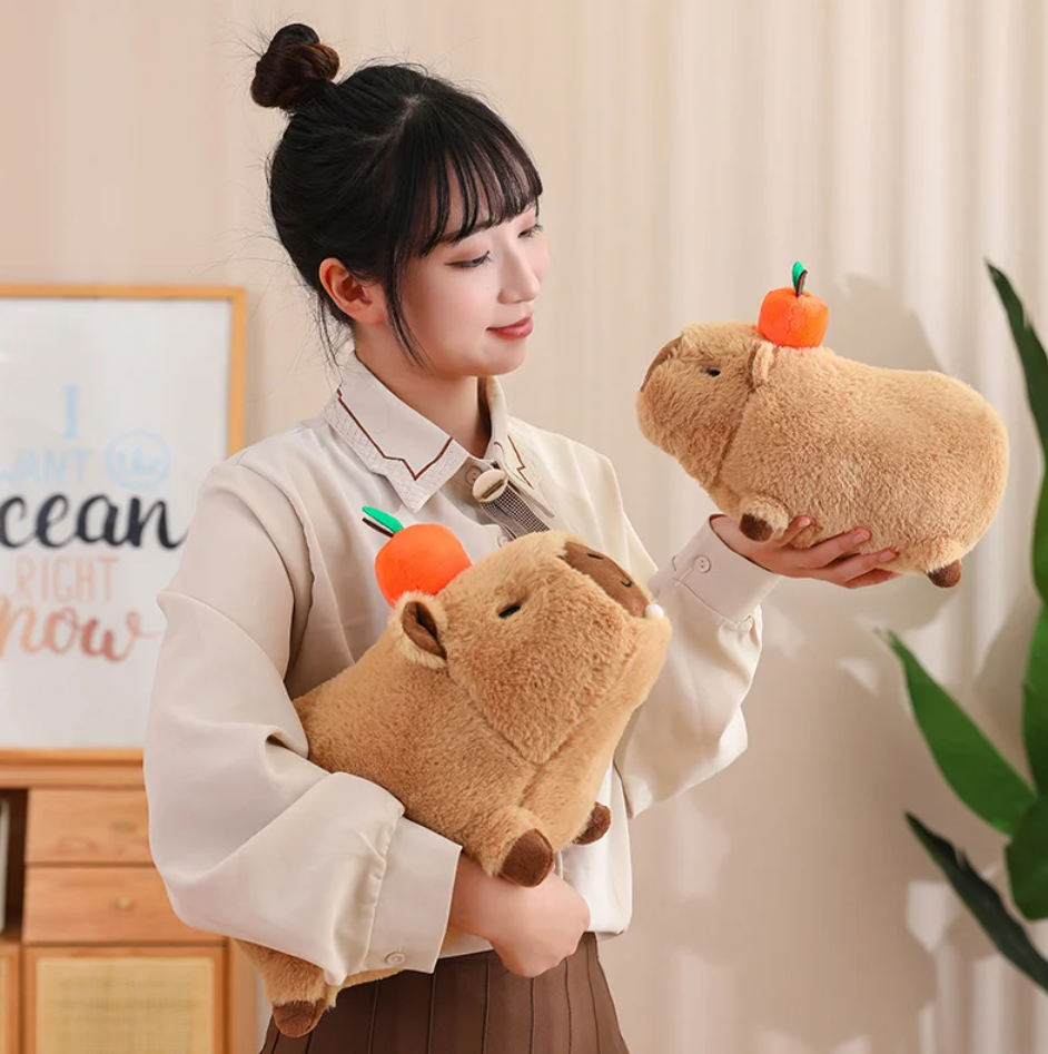 Cute Capybara With Bird/Fruit Plush Toys 20/30/40cm