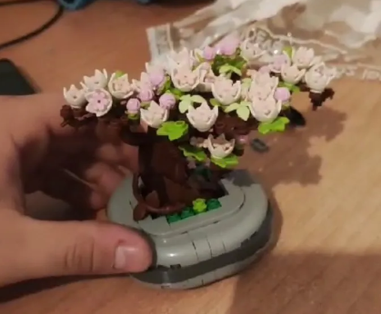 Tree With Flowers (Cherry Blossom) / Succulents In Bonsai Style Mini Building Blocks - 2 Styles