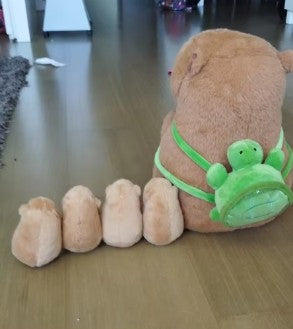 Capybara Mother With 4 Babies Plush Toys