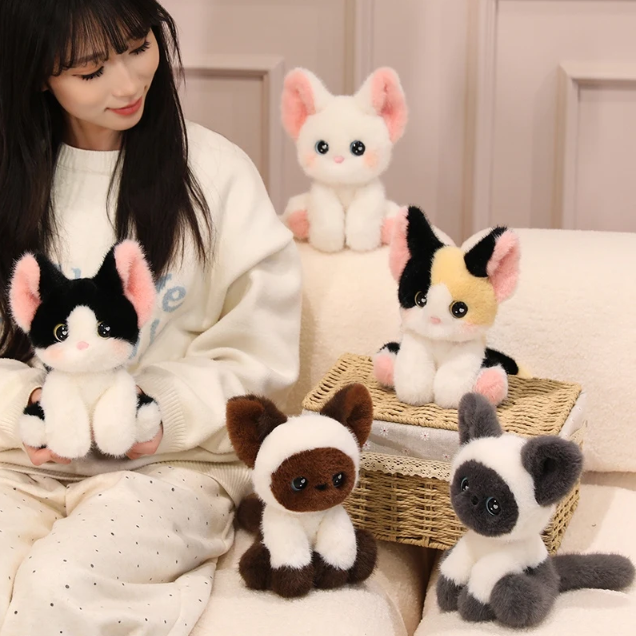 Cute/Kawaii Cat Plush Toys 24cm - 5 Styles
