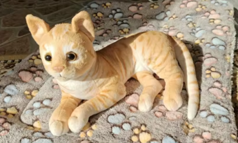 Cats Lifelike Plush Toy 29cm - 3 Styles