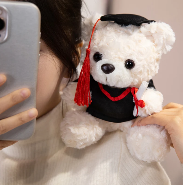 Teddy Bear With Rose/Christmas Hat/Bouquet/Graduation Plush Toys 17cm