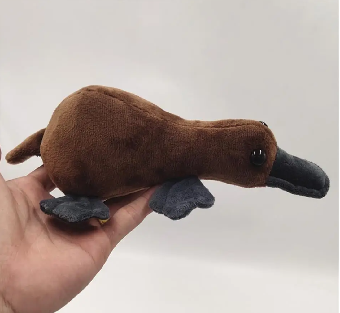 Cute Platypus Plush Toys 20cm