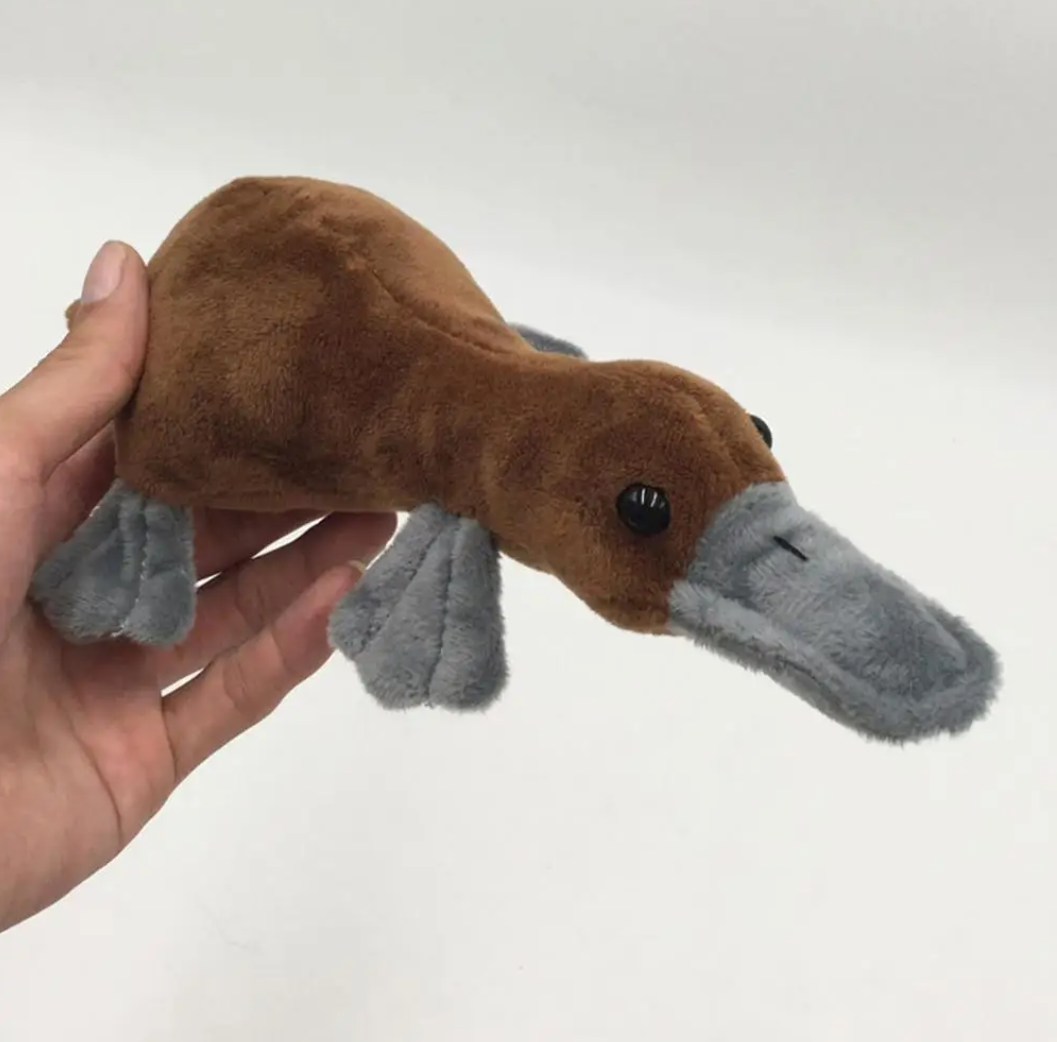 Cute Platypus Plush Toys 20cm