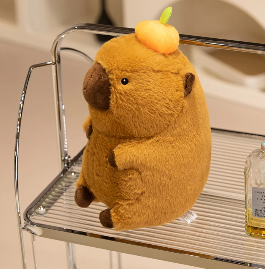 Cute Capybara With Persimmon Plush Toys 40cm/60cm