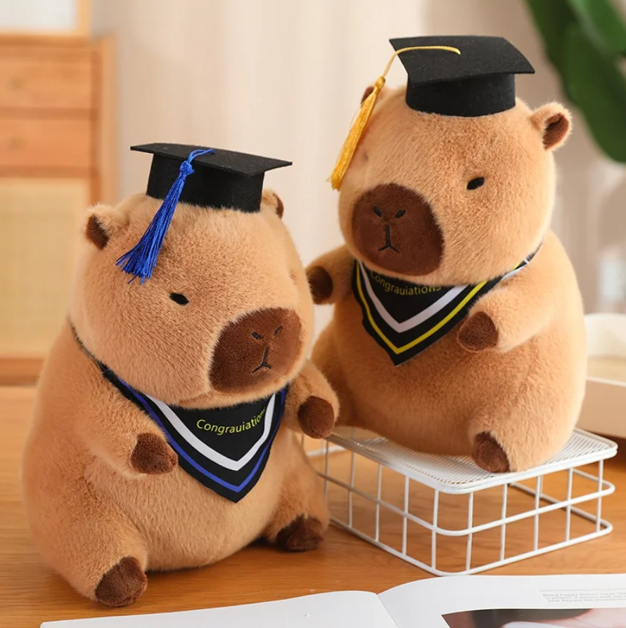 Cute Capybara With Graduation Dress Up Or With Tea Plush Toys 30/40cm