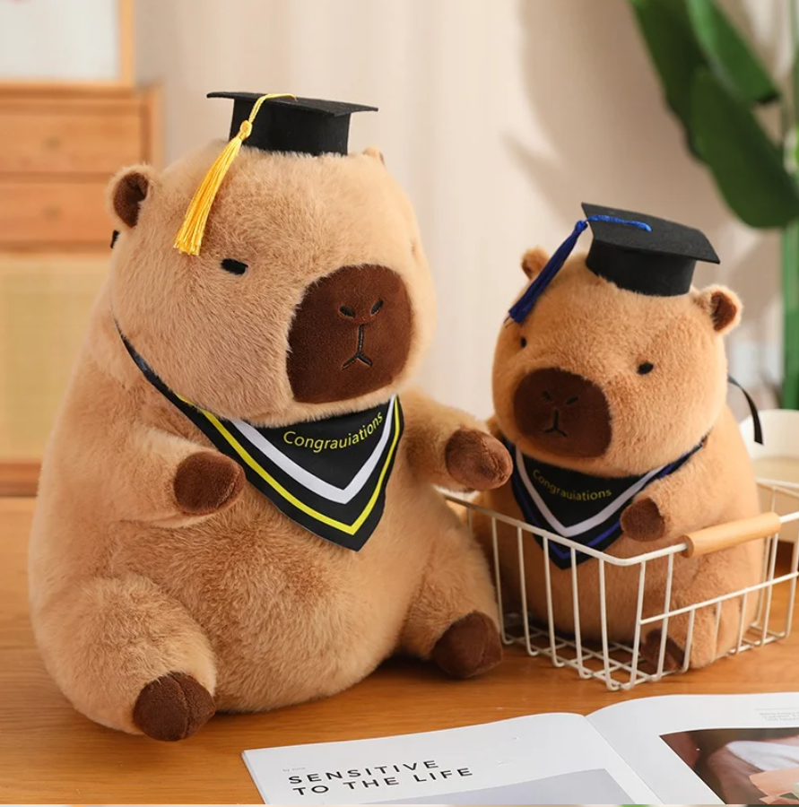 Cute Capybara With Graduation Dress Up Or With Tea Plush Toys 30/40cm