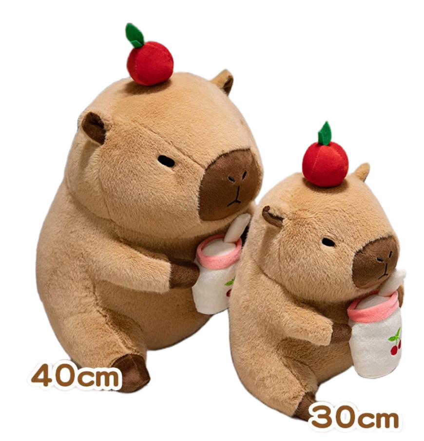 Cute Capybara With Graduation Dress Up Or With Tea Plush Toys 30/40cm