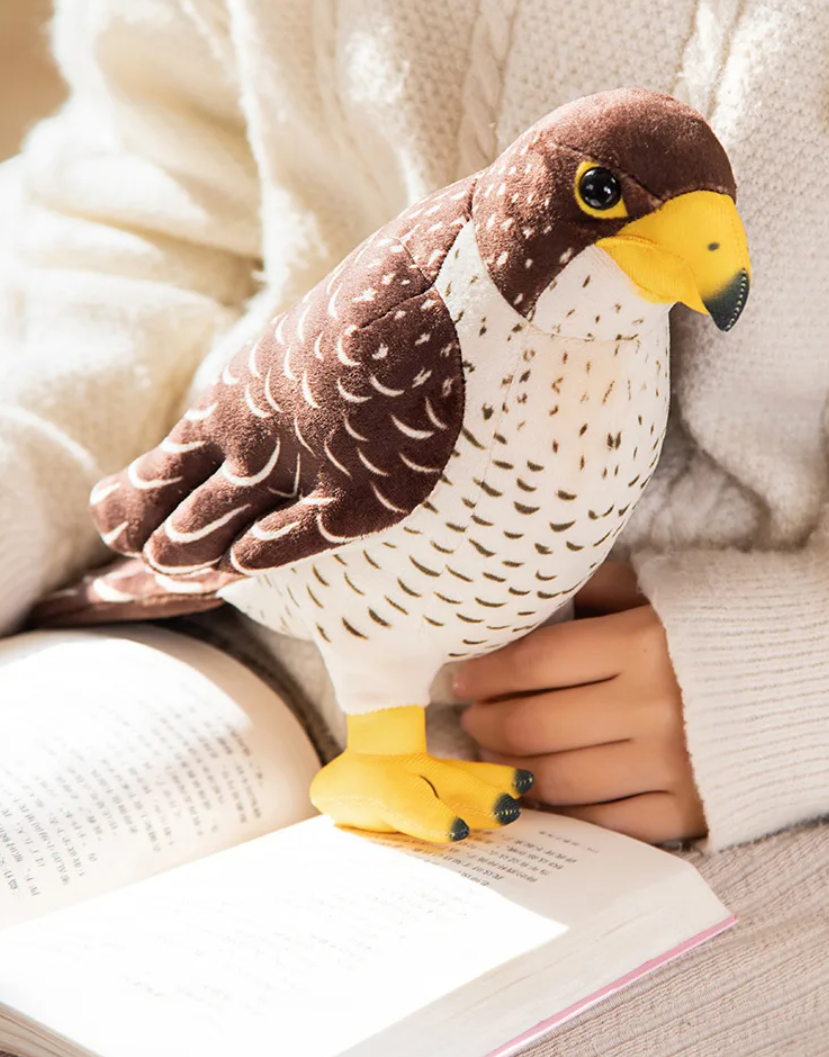 Bird (Lifelike Falcon) Plush Toys 18/25/30cm