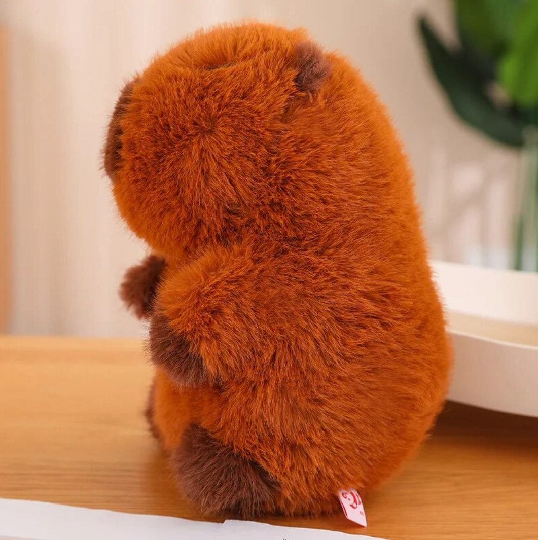 Cute Fluffy Capybara Plush Toys 25/35cm - 2 Styles