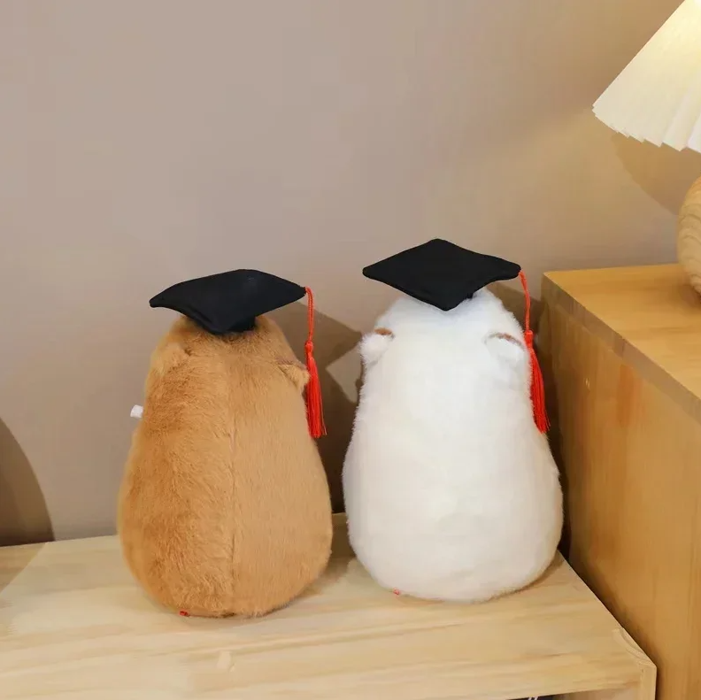 Cute Animal (Capybara/Owl) Graduation Plush Toys - 4 Styles