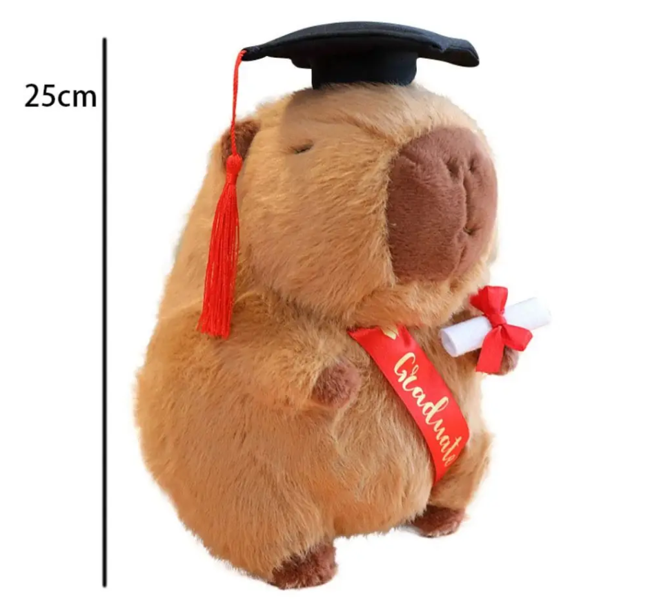 Cute Animal (Capybara/Owl) Graduation Plush Toys - 4 Styles