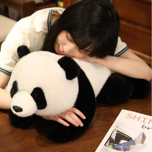 Cute Lying Red Panda/Panda Plush Toys 25-60cm - Black/Brown