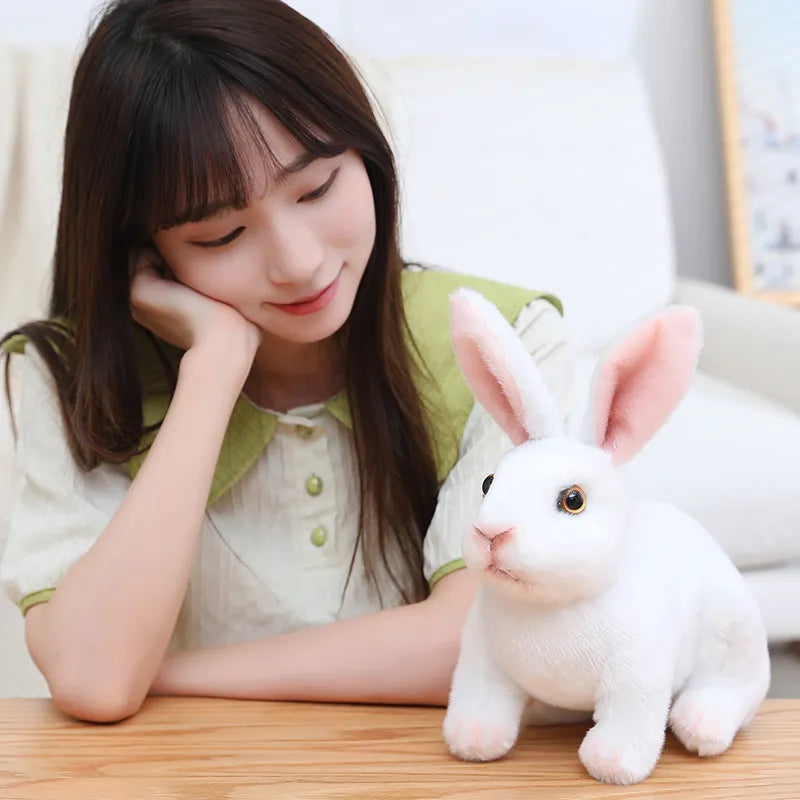 Long Ears Rabbit Lifelike Plush Toys 13/16/18/24cm - 17 Styles