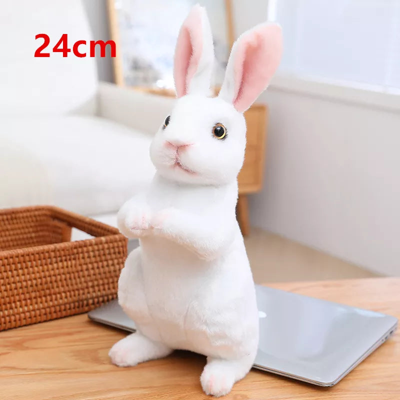 Long Ears Rabbit Lifelike Plush Toys 13/16/18/24cm - 17 Styles