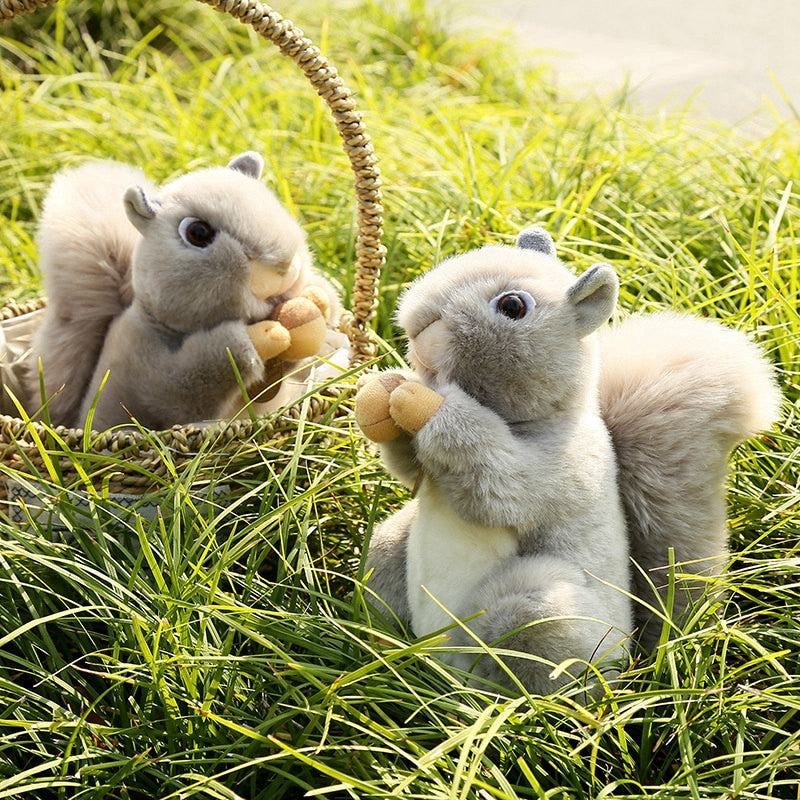 Grey Squirrel Plush Toys 20cm