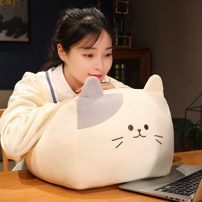 Cat (Square Shape) Plush Toys 25/40/50cm