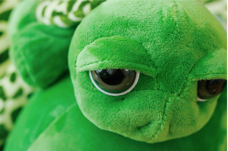 Turtle (Big Eyes) Plush Toys 20cm-63cm