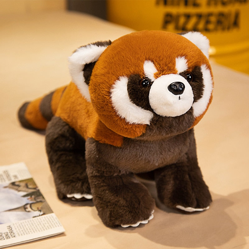 Red Panda Plush Toys 40/60/80cm - 2 Styles